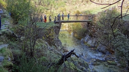 Ponte - Ribeira de Loriga 