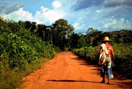 Pescador 