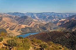 A BELEZA DO ALTO DOURO - ARNOZELO 