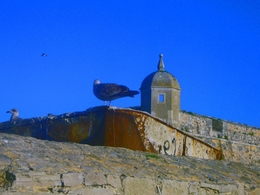 PRAÇA-FORTE DE PENICHE 