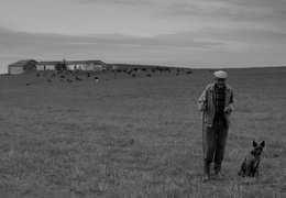 Retrato do Alentejo 