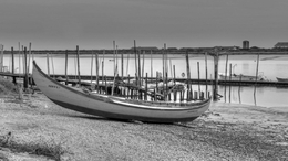 BARCOS DO TEJO 