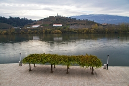 Régua_Douro 