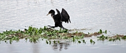 A sair do banho_____________Ai que FRIO!! 