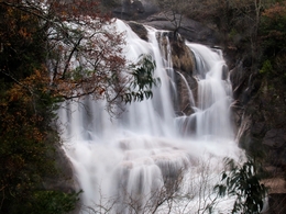 casctas do rio Arado 