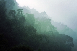 rainy day, sukamantri 