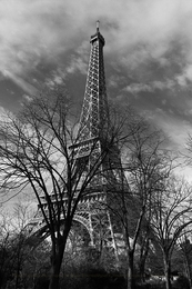 Tall in Paris 