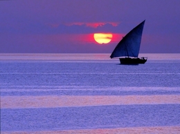 purple sunset in Zanzibar 