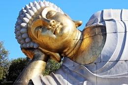 O Budha Dorminhoco 