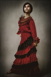 Flamenco Dancer 