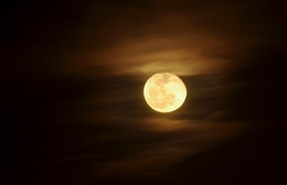 Golden moon 