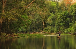 Lake Forest Tanjung Putus in Riau 