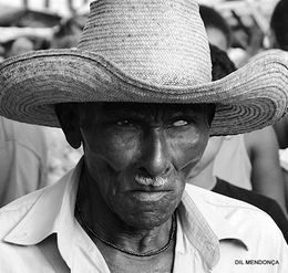 Brava gente brasileira__________________ 