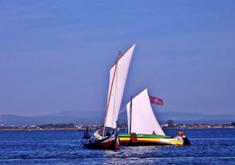 Regata de Moliceiros 