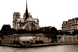 Notre Dame____________Para Sempre Bela! 