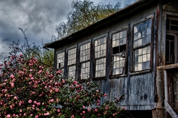 Janelas 