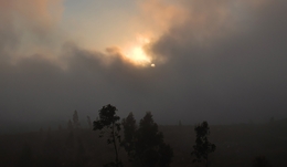 neblina na serra 