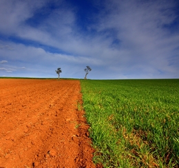 Alentejo 