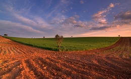 Alentejo  