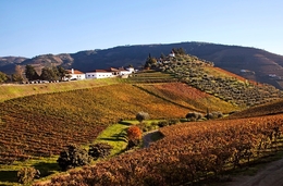 UMA TARDE NO ALTO DOURO 