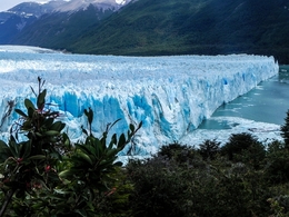 Glaciar Perito Moreno. 
