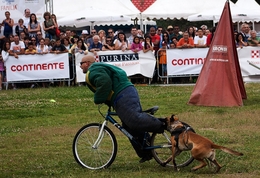 CãO PoLiCia___ 