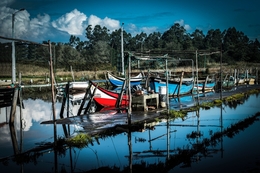 Braço da Ria de Aveiro 