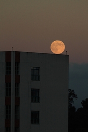 Super lua que rola no telhado___ 