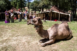 Feira Medieval  