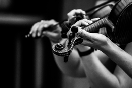 ao som de violinos ___ 