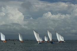 Regata de bateiras 