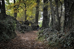 Passeio na natureza 