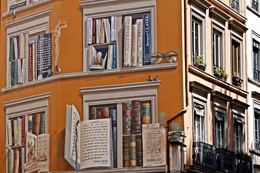 A Biblioteca da Cidade____Lyon 