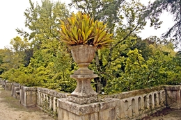 Jardim Botânico________Coimbra 