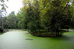 o lago verde 