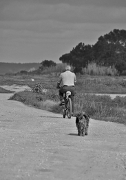 A pedaleira e o canito 