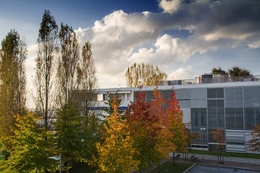 Biblioteca M de Gondomar 