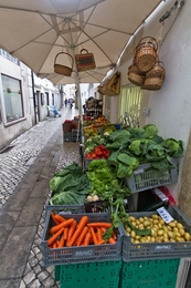 Numa rua de Coimbra 