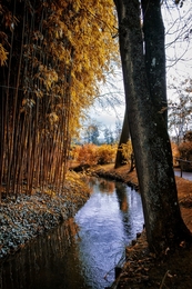 Autumn in Giverny 