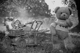 The Teddy and baby.. 