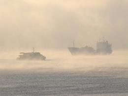 Nevoeiro matinal 