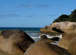 PESCADOR SOLITÁRIO 