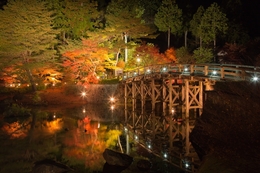 Bridge Toward the Autumn in Japan 