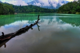 Dieng Lake 