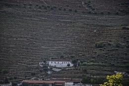 Douro - Pinhão 