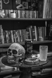 skull on the table 