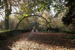 Caminhos escolhidos 