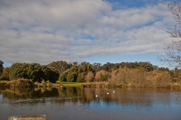 Beleza refletida 