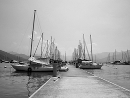 Marina Adrenalina 