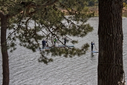 Paddle boarding na Lagoa 